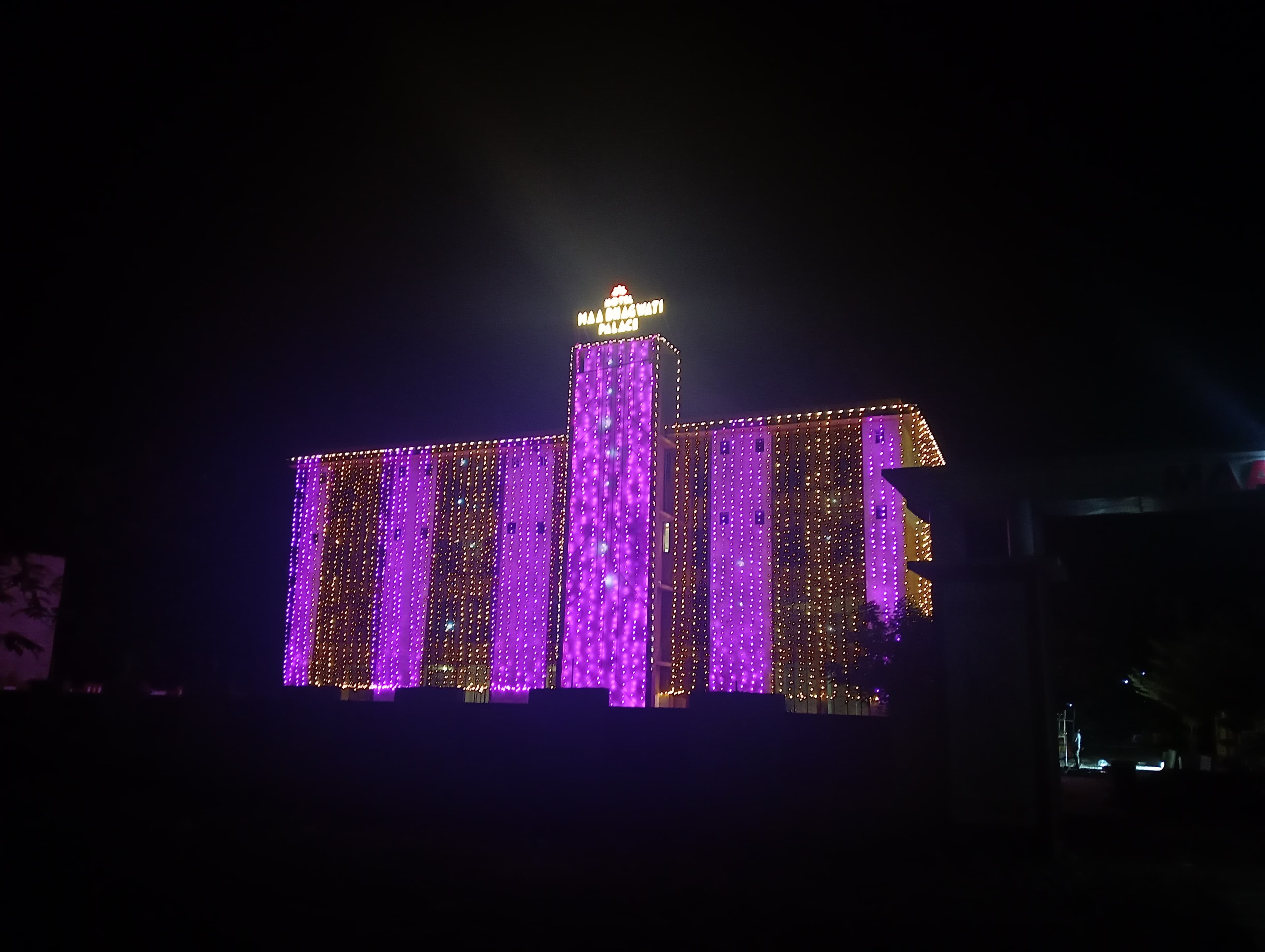 Maa Bhagwati Palace